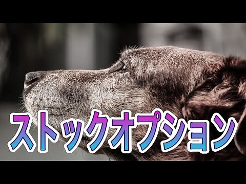 ストックオプションとは何か？わかりやすく解説