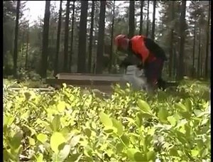 91K views · 879 reactions | Portable sawmills | Extreme Memes and Woodworking | Facebook