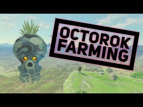 Breath of the Wild: Octorok Farming Guide