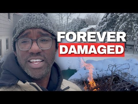 Rebounds Damage The Children