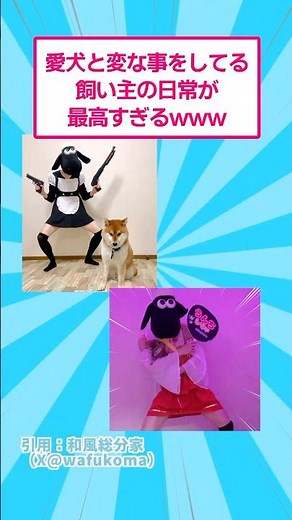 The daily life of a pet owner doing weird things with their dog is the best lol #funny #JapaneseS...