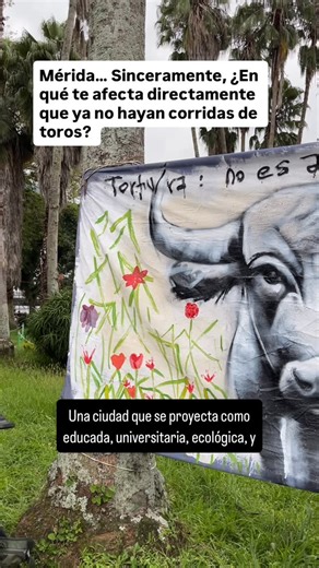 Animales Sin Voz on Instagram: "En Animales Sin Voz creemos que ningún ser merece sufrir para entretener a otros. Las corridas de toros no son arte, son violencia disfrazada de tradición 💔 El centro de este “espectáculo” es el dolor de un ser inocente, y en pleno siglo XXI no podemos seguir normalizando la barbarie. Si decimos apoyar a los animales, debemos ser congruentes: no hay justificación para aplaudir su sufrimiento. Levantemos la voz por quienes no pueden hacerlo ✊🏻 Porque la verdadera