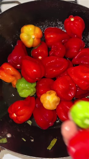 Cook with Dija 2 (@cook_with_dija2)’s videos with original sound - Cook with Dija