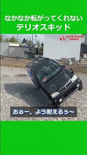 まぁまぁ粘るテリオスキッドくん