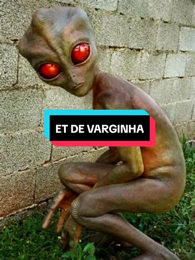 O MISTERIOSO CASO DO ET DE VARGINHA — o episódio que marcou a ufologia brasileira Em janeiro de 1996, moradores de Varginha, em Minas Gerais, afirmaram ter visto uma criatura incomum pelas ruas da cidade. O caso ganhou repercussão nacional após relatos de testemunhas, supostas movimentações militares e diversas versões sobre o que teria acontecido. Até hoje, o episódio divide opiniões: enquanto alguns acreditam que houve contato com um ser extraterrestre, as autoridades afirmam que não há evidên