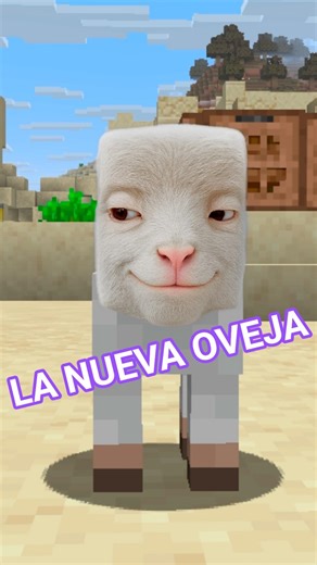 La NUEVA oveja de Minecraft 🥵 #minecraft #meme #edit #update #oveja #update #review #opinion