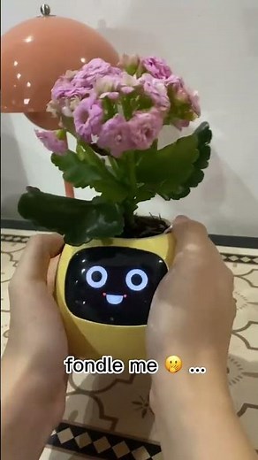 Smart Planter Tuya Ivy