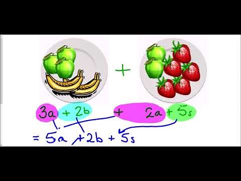 Collecting Like Terms - Mr Morley Maths