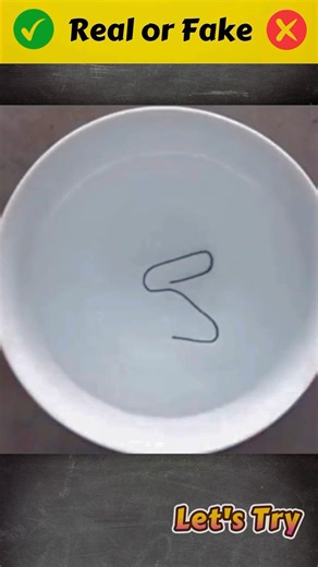 📎Paper Clip + Water Experiment 💧😱 #shorts