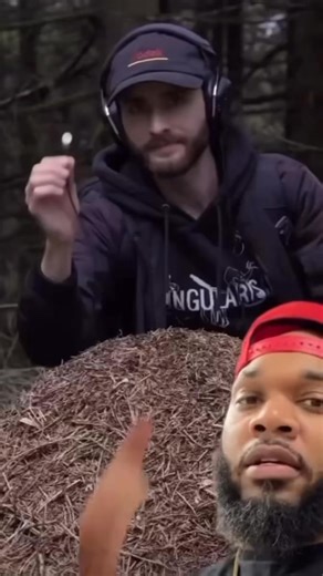 17K views · 330 reactions | This guy put a microphone on top of an anthill #fyp #foryou | Tspeed | Facebook