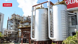 Así iniciamos nuestra zafra, vamos por los 3 millones de toneladas de caña 💪🏼 Agradecemos a los productores y trabajadores por todo el empeño que están poniendo para marcar un nuevo hito 🙌 #Zafra #Guabirá | Azúcar Guabirá