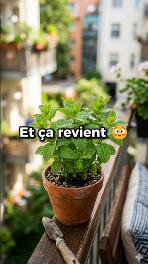 This plant almost regrows on its own 🌱