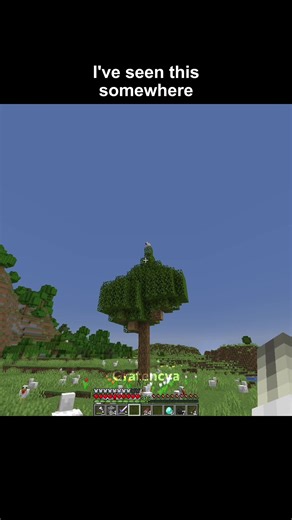 chicken #Minecraft #minecraftmemes #minecraftmoment #viral #fyp | Chicken