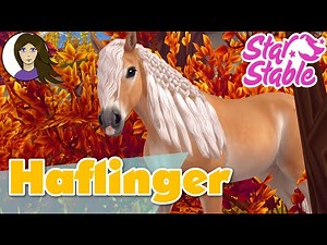 Die HAFLINGER sind da!!! OMG 💕 STAR STABLE ONLINE