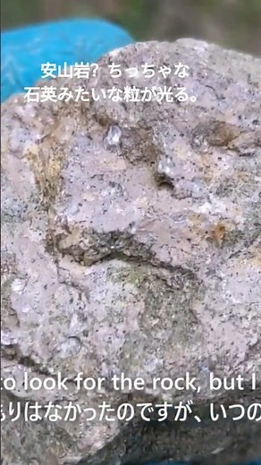 安山岩？andesite? #rockhounding #石拾い #岩石 #stone
