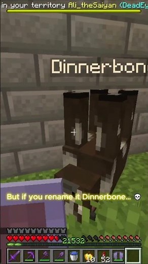 This Minecraft Name Is Cursed… 😳