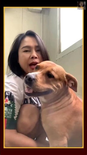 Puppy Plays with Leaf 🍂🐶 So Cute!