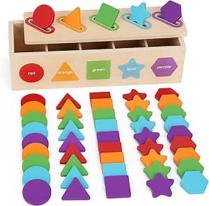 KMTJT Montessori Toys for 1 2 3 Year Old | Wooden Color & Shape Sorting Matching Toys | Learning Educational Toys for 1-3 Year Old Kids | One 1st 2st Birthday Gift for Boy Girl
