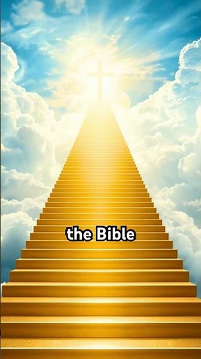 What Does It Look Like in Heaven?