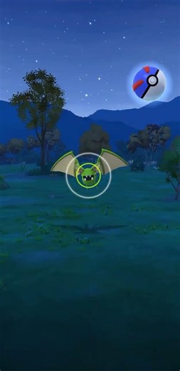 Zubat