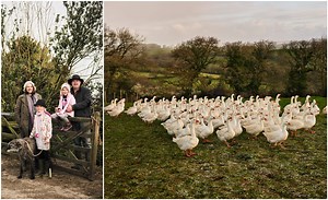 Why goose is great for Christmas dinner (it's all about the leftovers)