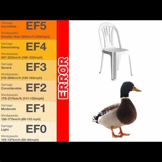 duo intercepter😂😂 #tornado #duck #chair #fyp #memes