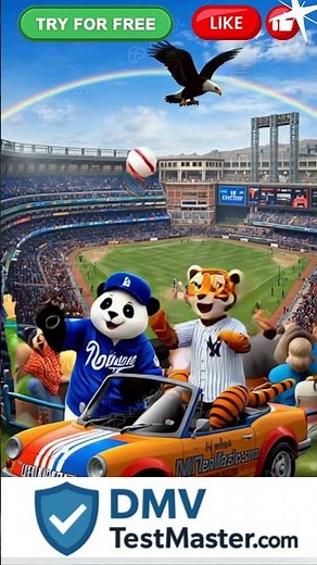 Pass Your DMV Test And Enjoy The Game https://dmvtestmaster.com/