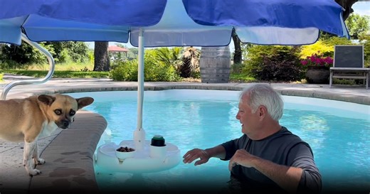 Watch Everything you need to know about the Swimbrella floating pool umbrella! on Amazon Live