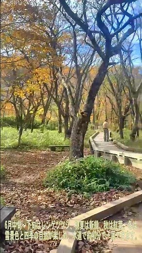 【赤城】【覚満淵】赤城山「覚満淵」（群馬県前橋市富士見町）#shorts #結婚しようチャンネル #紅葉