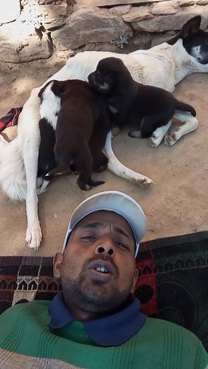 6.4K reactions · 72 shares | #Short#comedy#Reel# | Dhani Ram | Facebook