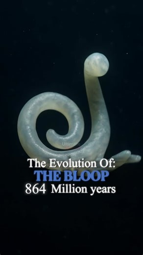 Evolution ai on Instagram: "The Evolution of the BLOOP 🐋 | Sea creatures Part.4 #seacreatures #evolution #ai #bloop #ai #deepse"