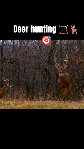 Bow vs Deer 🏹🔥 | Hunting MomentRealistic Deer Archery Hunt 🦌🎯 |