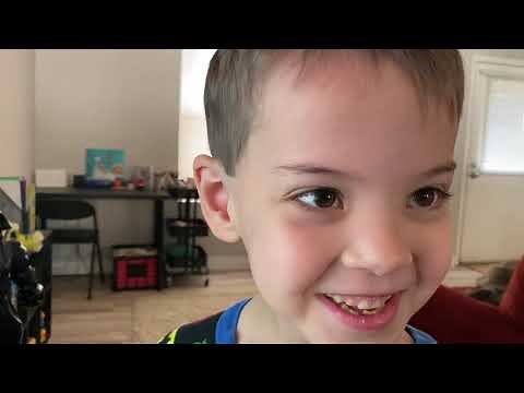 How to Register Your Elf on the Shelf