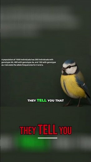 Calculating Allele Frequencies: Population Genetics Problem