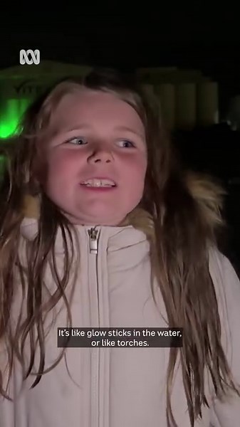 22K views · 178 reactions | Just stunning 朗 Did anyone else get a chance to play in the bioluminescence at Port Lincoln? Catch more Eyre Peninsula news here: https://ab.co/39KeY7J  Jodie Hamilton | ABC Eyre Peninsula | Facebook