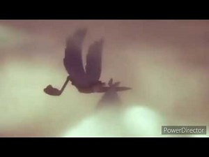 Ash (Dumbo) Part 2 Casey Jr./Tails Brings a Delivery For Olive Oyl