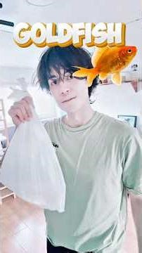 I got a goldfish as a pet. What should I name it?🐟 #goldfish #fishtreatment #pet #aquarium
