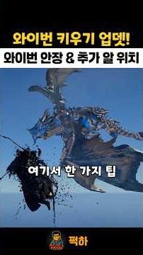 와이번 키우기 업데이트 완료! ※ 와이번 안장 & 추가 알 위치 #붉은사막 1.10.0 ver