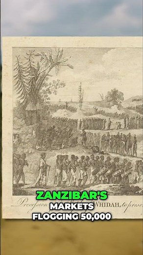 Unveiling the Truth: The Transatlantic Slave Trade's Reality #shorts