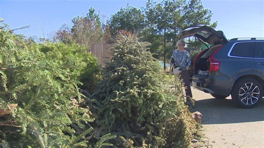Here's where to take your Christmas Tree in the Houston area for recycling