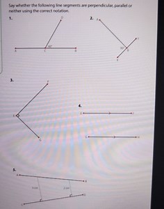 Say whether the following line segments are perpendicular, para... | Filo