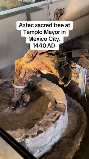 Exploring the Aztec Sacred Tree at Templo Mayor in Mexico City