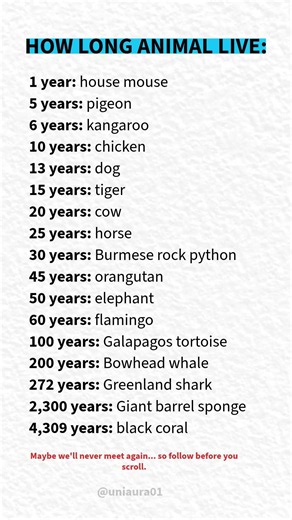 Animal Lifespans: How Long Do Animals Live?​#AnimalLifespan #WildlifeFacts #NatureLovers