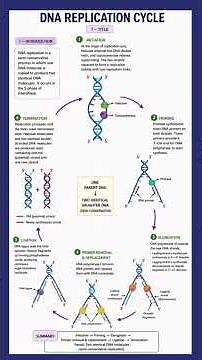Biochemistry: DNA replication |Ziauddin dental college