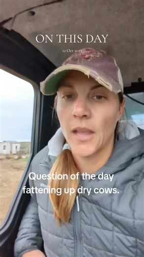 Cattle Management Insights: October 12, 2023