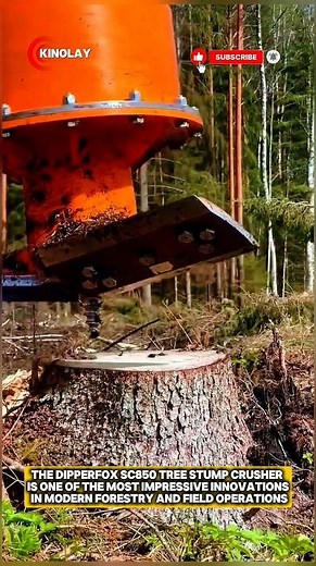 Dipperfox SC850: The Ultimate Stump Destroyer‼️#technology #shorts