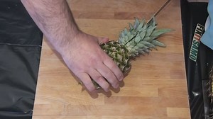 Easy Pineapple Tricks
