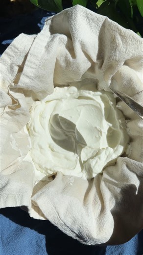 How To Make Greek Yogurt (No Special Equipment) 🥛 | Live Eat Learn