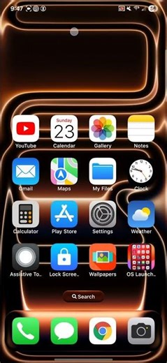 how to change the home screen button
