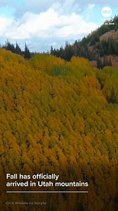 It's officially the fall season and the mountains of northern Utah are as vibrant as ever. https://abcnews.visitlink.me/SpPTLz | ABC News